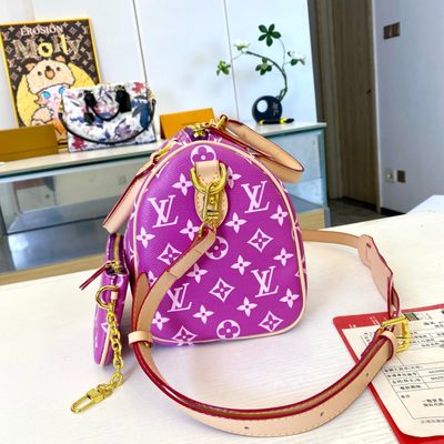 Louis Vuitton Bag — 7