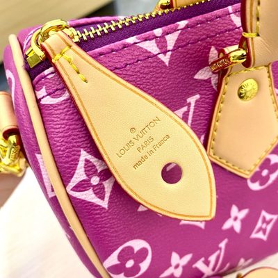 Louis Vuitton Bag — 5