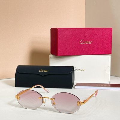 Cartier Sunglasses — 4