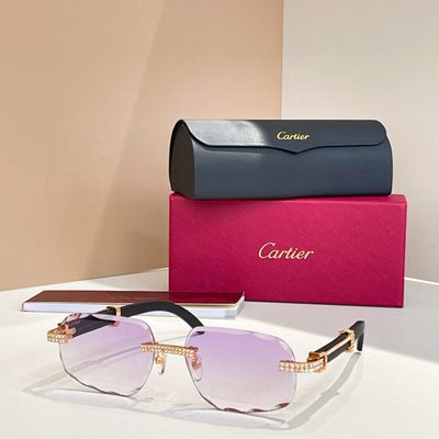 Cartier Sunglasses — 8