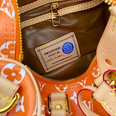 Louis Vuitton Bag — 8