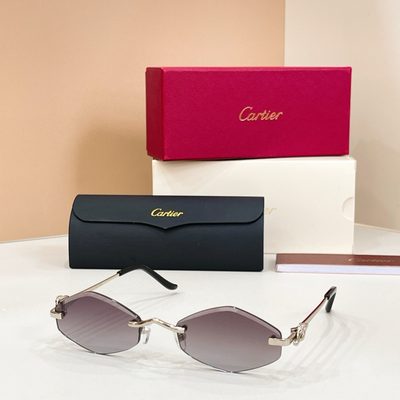 Cartier Sunglasses — 5