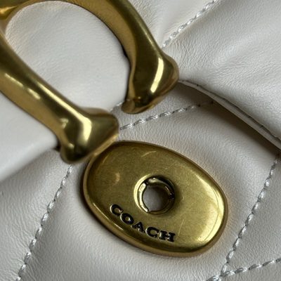 Coach Bag — 7