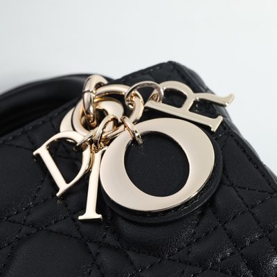 Dior Bag — 4