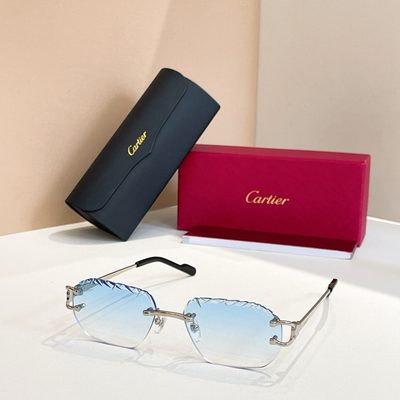 Cartier Sunglasses — 8