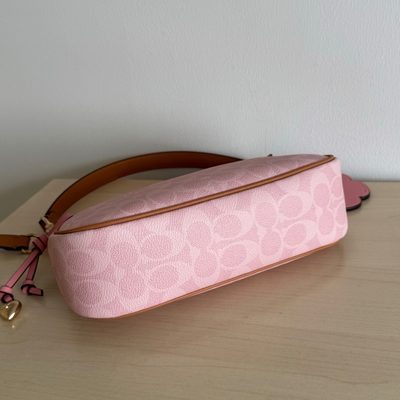 Coach Bag — 7