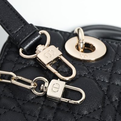 Dior Bag — 4