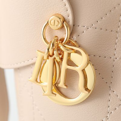 Dior Bag — 7