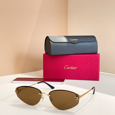 Cartier Sunglasses — 3