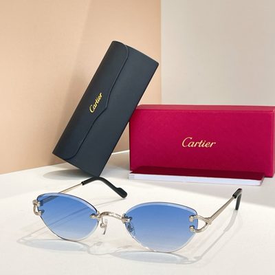 Cartier Sunglasses — 8
