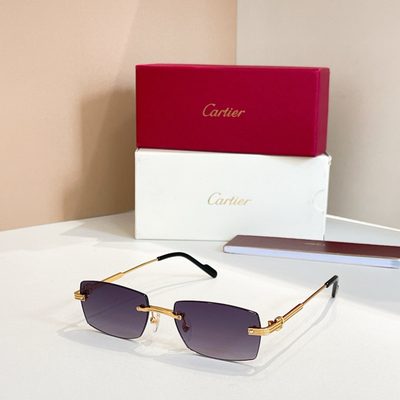 Cartier Sunglasses — 6