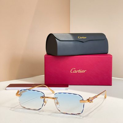 Cartier Sunglasses — 6