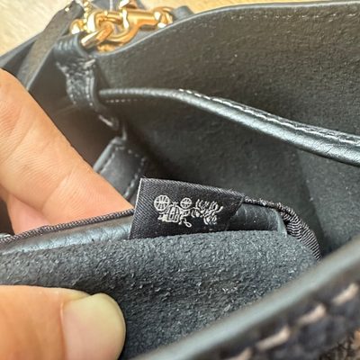 Coach Bag — 12