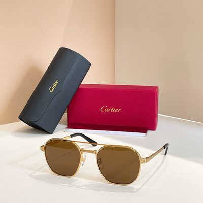 Cartier Sunglasses — 6