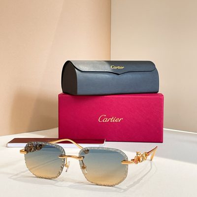 Cartier Sunglasses — 5