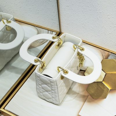 Dior Bag — 5