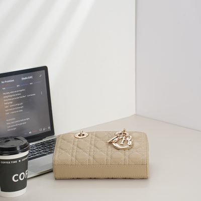 Dior Bag — 7