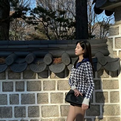 Dior Bag — 12