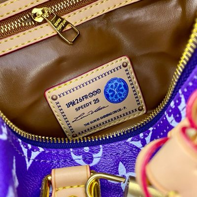 Louis Vuitton Bag — 8