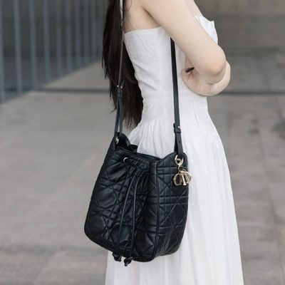 Dior Bag — 9