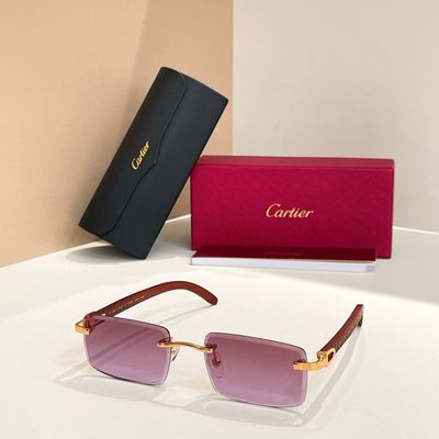 Cartier Sunglasses — 8