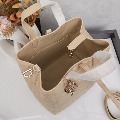 Dior Bag — 10