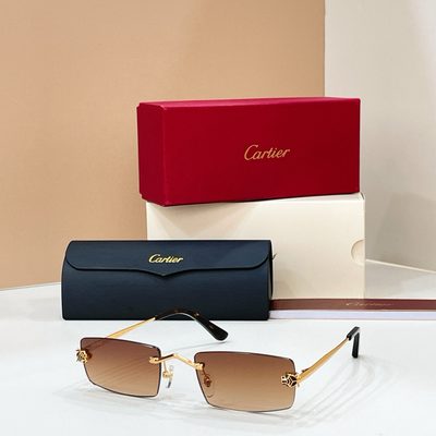 Cartier Sunglasses — 7