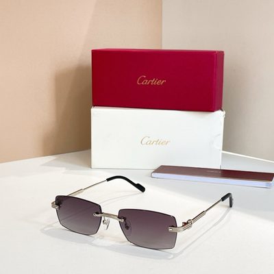 Cartier Sunglasses — 7