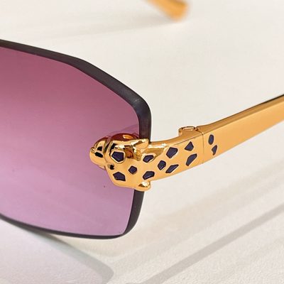 Cartier Sunglasses — 7