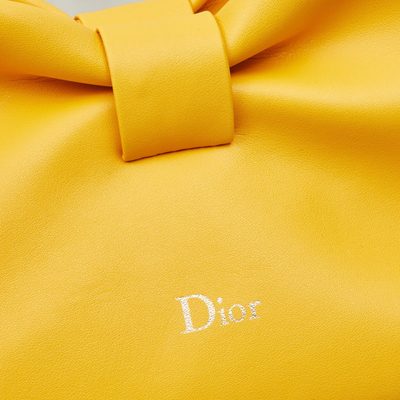 Dior Bag — 5