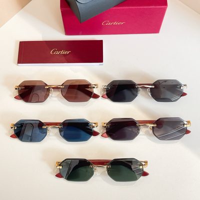 Cartier Sunglasses — 8