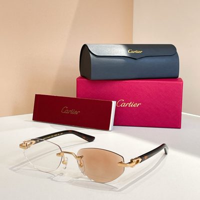 Cartier Sunglasses — 8