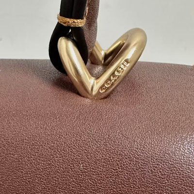 Coach Bag — 6