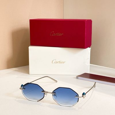 Cartier Sunglasses — 9