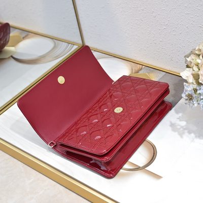Dior Bag — 5