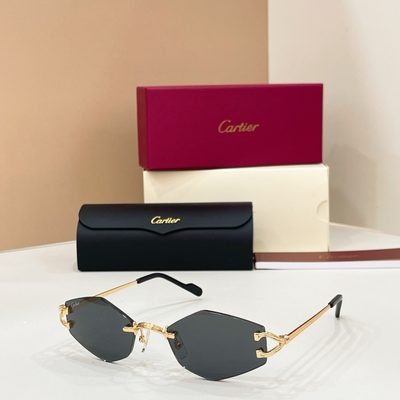 Cartier sunglasses — 6
