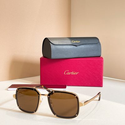 Cartier Sunglasses — 5