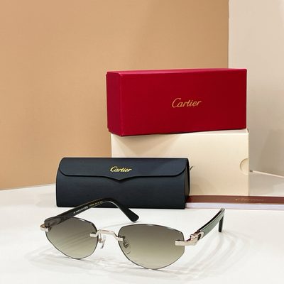 Cartier Sunglasses — 3