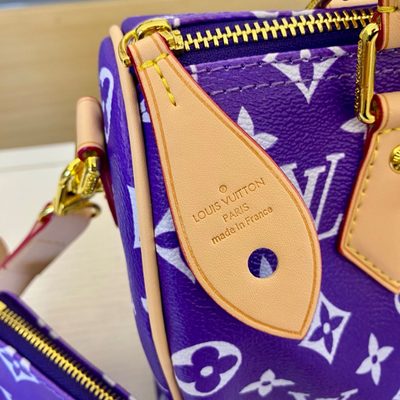 Louis Vuitton Bag — 5