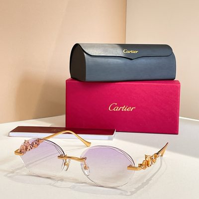 Cartier Sunglasses — 7