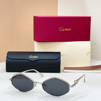 Cartier Sunglasses — 7