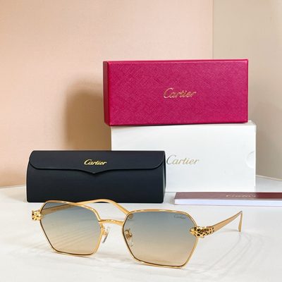 Cartier Sunglasses — 6