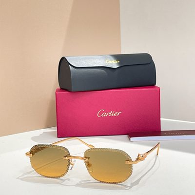 Cartier Sunglasses — 3