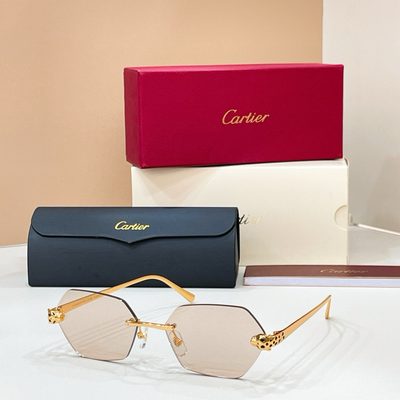 Cartier Sunglasses — 5