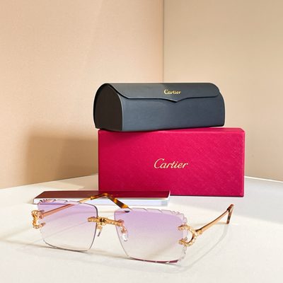 Cartier Sunglasses — 4