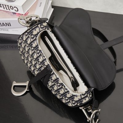 Dior Bag — 9