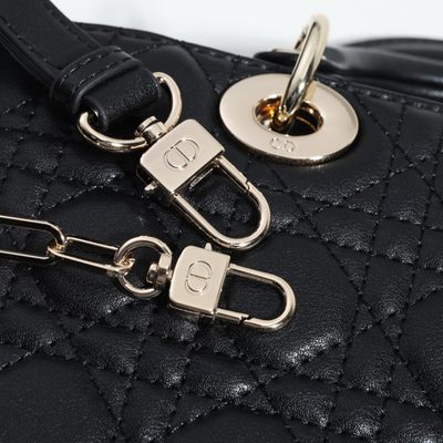 Dior Bag — 5