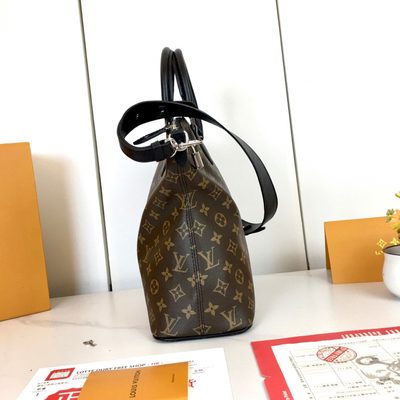 Louis Vuitton Bag — 4