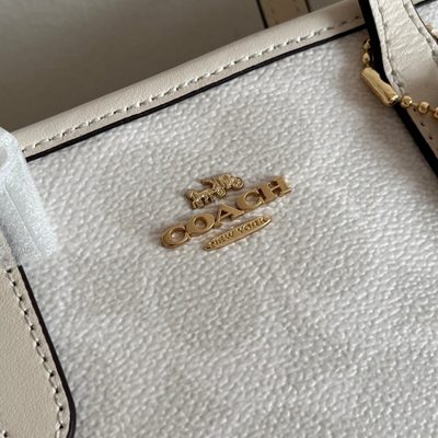Coach Bag — 5