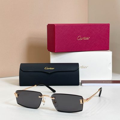Cartier Sunglasses — 5